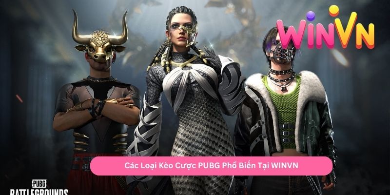 Các Loại Kèo Cược PUBG Phổ Biến Tại WINVN