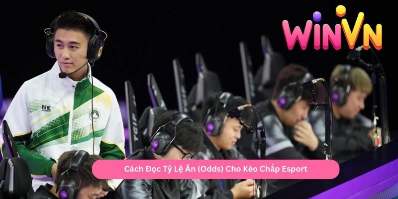 Cách Đọc Tỷ Lệ Ăn (Odds) Cho Kèo Chấp Esport