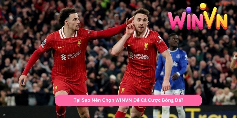 Tại Sao Nên Chọn WINVN Để Cá Cược Bóng Đá